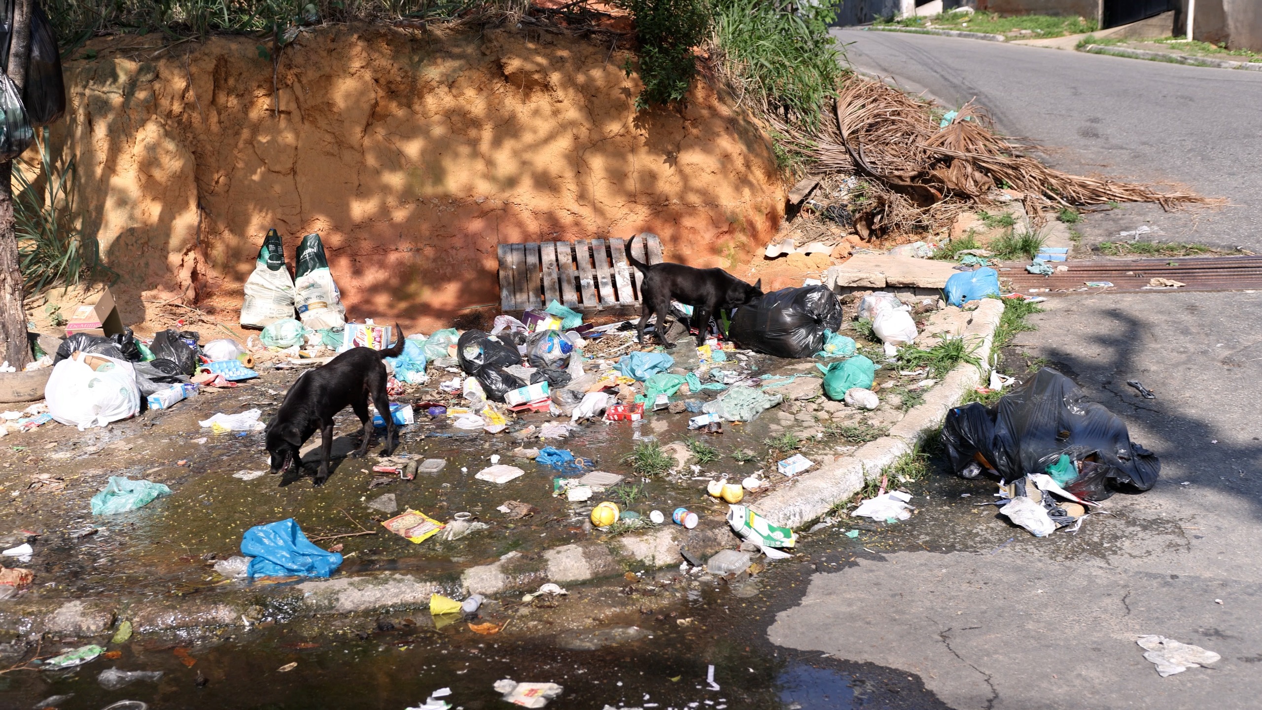 Indecisão judicial mergulha Itaguaí na insegurança jurídica e população fica cercada de problemas por todos os lados