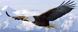 Mistério nos ares de Nova Iguaçu