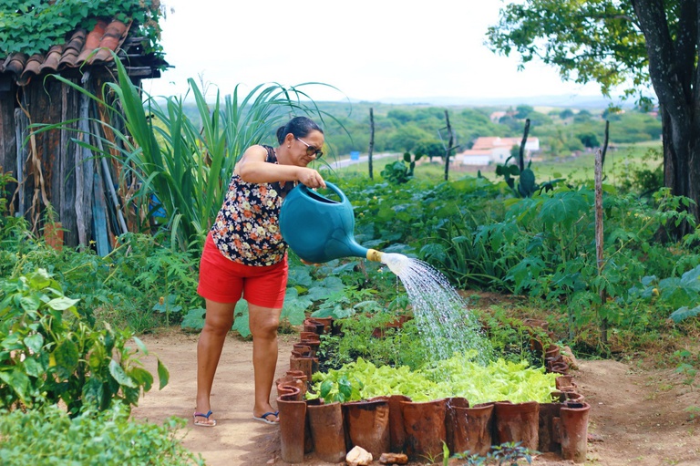 Programa de Aquisição de Alimentos completa 23 anos como política estratégica de promoção da segurança alimentar no país