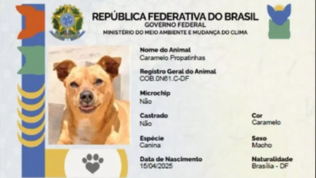 SinPatinhas
