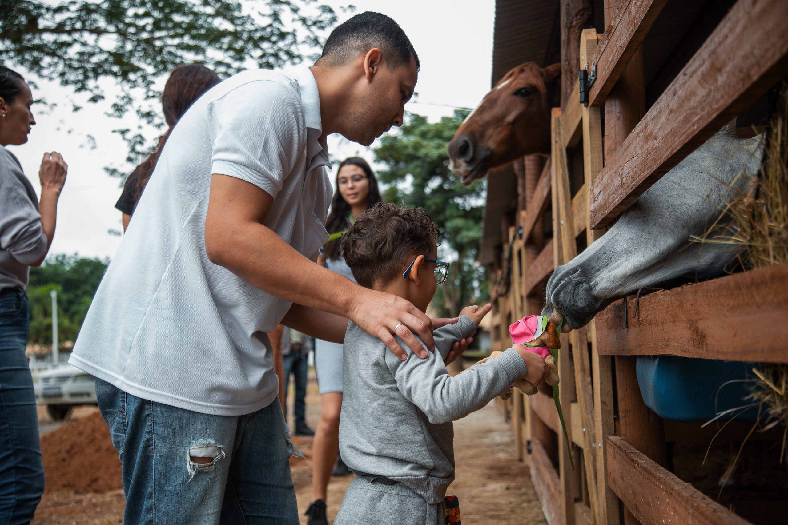 Paracambi: Projeto de equoterapia beneficia mais de 120 pacientes